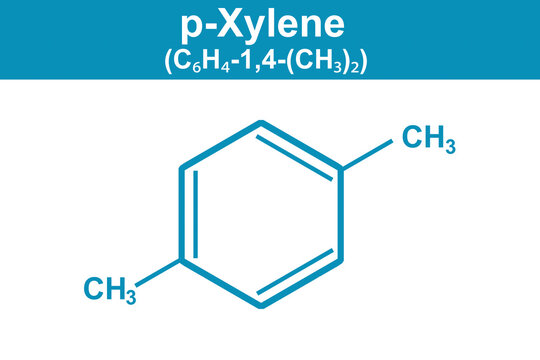 Chemistry illustration of p-Xylene C6H4-1,4-(CH3)2 in blue
