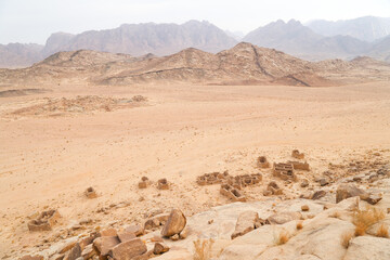 Fototapeta na wymiar Sinai Beauty