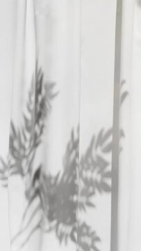 Sombras de plantas sobre una tela que se mueven por una suave brisa. 