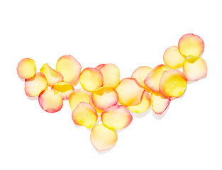 Yellow rose petals isolated on white background