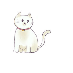 White cat