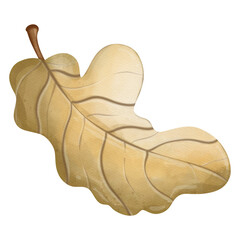 Oak Leaf in Autumn, Seasonal Element Illustration