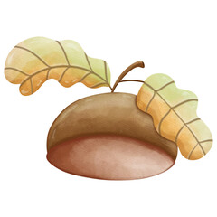 Watercolor Autumn Acorns Illustration, Decorative Element for Fall Artwork and Seasonal Designs
