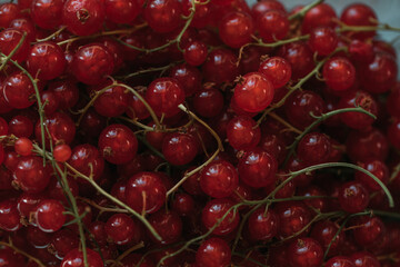 red cherries background