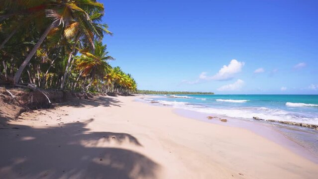 Bright palm trees on a large sunny beach with crystal clear Caribbean Sea on a tropical island. Scenic scene of summer travel concept. Turquoise sea waves on the golden sand of the Atlantic coast.