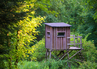 Hunters wooden hide deep in the forest
