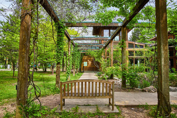 Bench on path leading down pergola corridor to giant foot on cabin wall