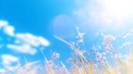 Fototapeta na wymiar summer meadow with blue sky and sun, soft focus background