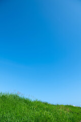 Fototapeta na wymiar 爽やかな青空と新緑の風景