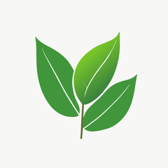 watercolor hand drawn green leaves with sketches vector