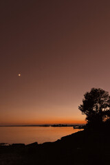 A bright sunset descending on the horizon, the sea in golden, warm colors, trees, shore and sky.
