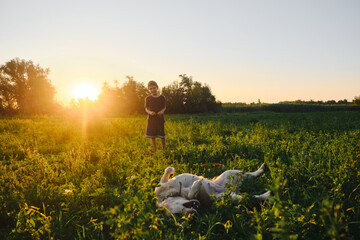 Cute Caucasian blond boy walking in field at sunset with a labrador. The dog is lying on back in the green grass and enjoying life. A young pet owner. A child and an animal have fun together.