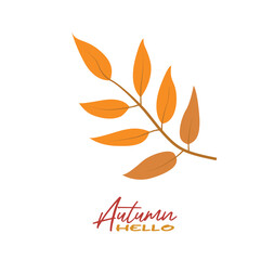 Autumn rowan leaves vector illustration.  Autumn  leaves design template for decoration, sale banner, advertisement, greeting card and media content. Autumn concept. Flat vector isolated on white.