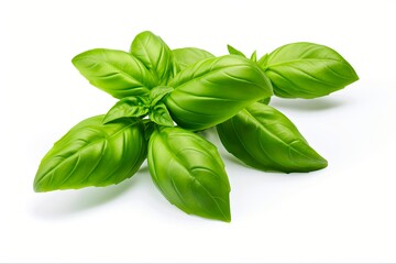Fresh Basil Leaves Isolated on White Background for Organic and Green Herb and Spice Concept. Generative AI