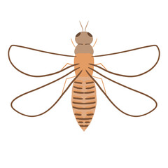 Thrips/Wasp, Cartoon Insect Illustration, Icon Isolated