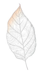 Autumn leaf painted on a white background, generative AI.