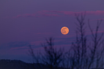 Naklejka premium Mystical landscape with full moon rise in the cold season. The natural satellite of the earth observed at sunset among the colored clouds