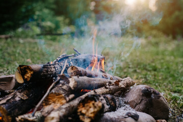 Warm campfire at morning. Fire burning near green forest in summertime. Beautiful bonfire, burning old wood. Active lifestyle, traveling, hiking. Camping vibes and outdoor lifestyle mood