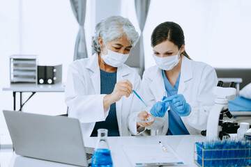 Modern medical research laboratory. female scientist working with micro pipettes analyzing biochemical samples, advanced science chemical laboratory for medicine. .