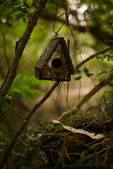 bird house in remote garden