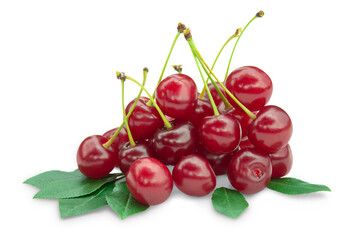 Bunch of ripe fresh cherries with green foliage isolated on transparent background.