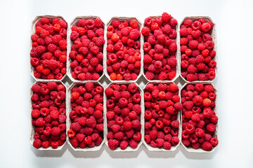 Fresh picked organic raspberries in baskets on white