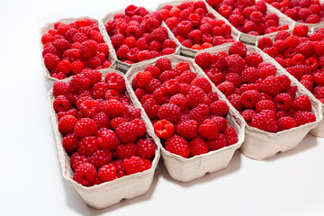 Fresh picked organic raspberries in baskets on white