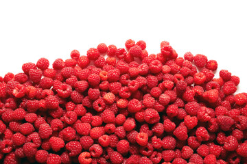 Fresh picked organic raspberries on white background