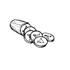 Cucumber sliced (hand drawn/black pencil/transparent PNG)