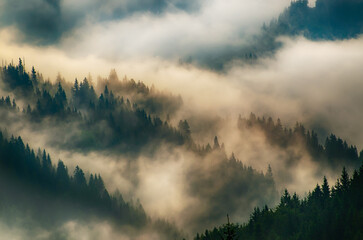 Misty mountain landscape