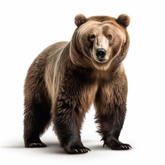 Obraz premium Beautiful wild beast bear looking forward is shown in full length, Ai generated