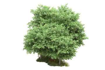 Green landscape isolated on transparent background. 3d rendering - illustration