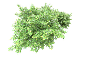 Obraz premium Green landscape isolated on transparent background. 3d rendering - illustration