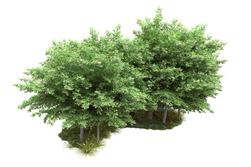 Fototapeta premium Green landscape isolated on transparent background. 3d rendering - illustration