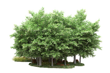 Fototapeta premium Green landscape isolated on transparent background. 3d rendering - illustration
