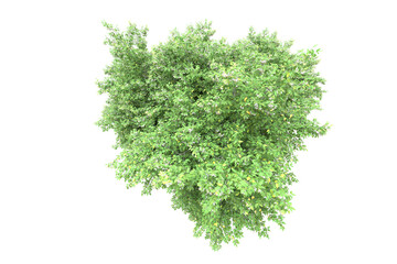 Fototapeta premium Green landscape isolated on transparent background. 3d rendering - illustration