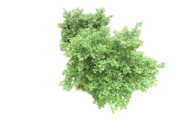 Obraz premium Green landscape isolated on transparent background. 3d rendering - illustration