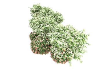 Obraz premium Green landscape isolated on transparent background. 3d rendering - illustration