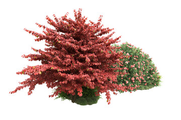 Naklejka premium Green landscape isolated on transparent background. 3d rendering - illustration