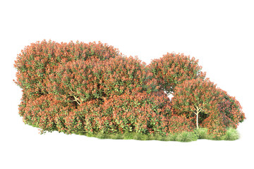 Green landscape isolated on transparent background. 3d rendering - illustration