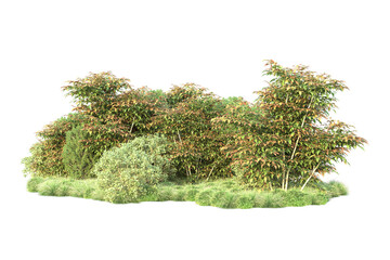 Green landscape isolated on transparent background. 3d rendering - illustration