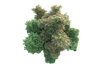 Green landscape isolated on transparent background. 3d rendering - illustration