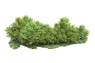 Green landscape isolated on transparent background. 3d rendering - illustration