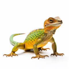 Obraz premium Beautiful big beast lizard looking forward is shown in full length, Ai generated
