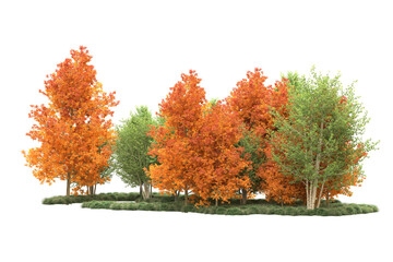 Fototapeta premium Green landscape isolated on transparent background. 3d rendering - illustration