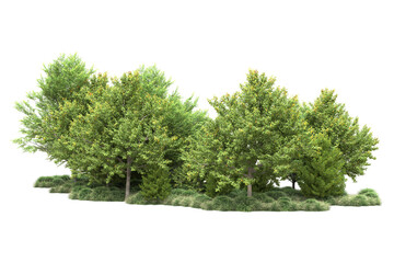 Obraz premium Green landscape isolated on transparent background. 3d rendering - illustration