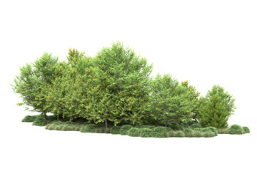 Green landscape isolated on transparent background. 3d rendering - illustration