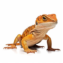 Obraz premium Beautiful big beast lizard looking forward is shown in full length, Ai generated