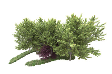 Green landscape isolated on transparent background. 3d rendering - illustration