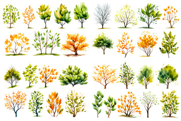 Many kinds low bush with branches during different seasons. of various shapes, watercolor style, clip-art style